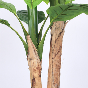Plátano <span class=keywords><strong>de</strong></span> la mejor calidad, bonsái, <span class=keywords><strong>plantas</strong></span> <span class=keywords><strong>de</strong></span> árbol <span class=keywords><strong>de</strong></span> plástico, hoja <span class=keywords><strong>de</strong></span> plátano artificial, <span class=keywords><strong>plantas</strong></span> falsas, árbol <span class=keywords><strong>de</strong></span> plátano para decoración interior y <span class=keywords><strong>exterior</strong></span> - Product Image 6
