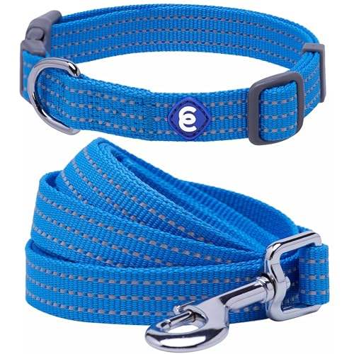 French Blue - Collar + Leash