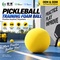 Direct usine : Entraîneur de rebond mural de pickleball en mousse pleine de 70 mm pour entraînement en intérieur, taille, couleur et emballage personnalisables, faible MOQ, OEM ODM
