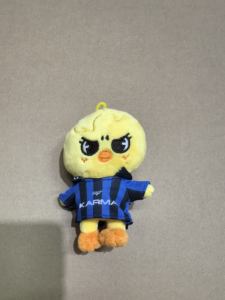 Nuevo Llavero Colgante de Peluche Suave de 12cm para Monedas, Stay Kids Fang Can Li Long Fu Felix <span class=keywords><strong>KARMA</strong></span> SKZ, Muñeco de Peluche Kpop de Dibujos Animados - Product Image 5