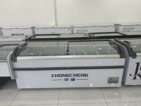 Congélateur coffre commercial 2 portes de 718 litres, neuf, avec éclairage LED et panier, pour usage domestique ou en restaurant