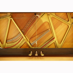 Chất Lượng Cao Sử Dụng Thẳng Đứng Cung Cấp Instrumentos Musicais Piano - Product Image 4