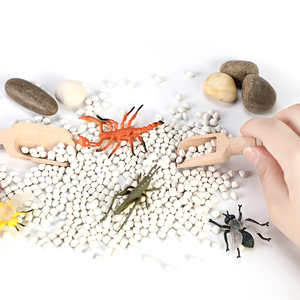 Edusense autism Montessori cảm giác phân loại khay Côn Trùng Thế Giới Học tập cảm giác tích hợp đồ chơi Kit giáo dục mầm non Đồ chơi bộ - Product Image 3