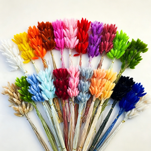 Décoration de mariage, fleurs séchées naturelles, herbe de la pampa, plusieurs couleurs, queues de lapin séchées - Product Image 1