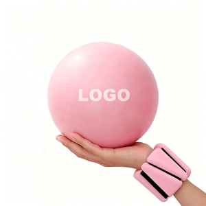 Mini Ballon de Pilates Anti-éclatement Personnalisé avec Logo Couleur, Poids pour Bras, Poignets et Chevilles pour Fitness et Thérapie Physique - Product Image 1