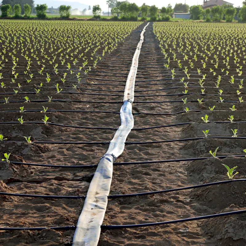 Système d'arrosage goutte-à-goutte goutte-à-goutte, bande d'irrigation agricole, 16mm, 1 pièce