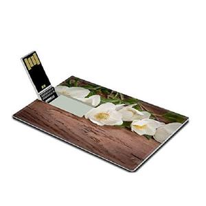 1 GO, 2 GO, 4 GO, 8 GO, 16 GO, 32 GO, 64 GB D'instantané D'usb De Carte de Crédit 512 MO En Gros - Product Image 2