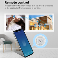 2CH Mini WIFI Smart Switch Commutateur de relais sans fil Disjoncteur WIFI APP et commande vocale Commutateur électrique 2 groupes