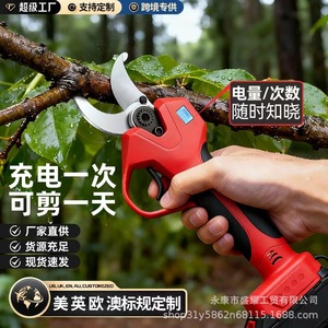 <span class=keywords><strong>Sécateur</strong></span> à main rechargeable robuste pour l'élagage des branches, l'aménagement paysager et l'élagage des arbres fruitiers - Product Image 2