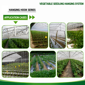 Crochet de suspension <span class=keywords><strong>en</strong></span> acier galvanisé haute résistance pour tomates, concombres, fruits et légumes <span class=keywords><strong>en</strong></span> serre - Product Image 4