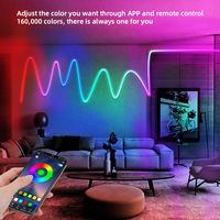 Bande Néon Flexible en Silicone à Synchronisation Musicale et Commande Vocale, Bande LED RGB Adressable RGBIC Intelligente Wi-Fi
