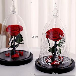 Type classique Rose beauté <span class=keywords><strong>Rosa</strong></span> <span class=keywords><strong>Bella</strong></span> E Bestia cadeau de la Saint-Valentin Rose éternelle dans un dôme en verre préservé Rose beauté et la bête - Product Image 2