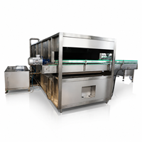 Machine de remplissage de jus de tomate 200 ml, machine d'emballage de jus en boîte carton