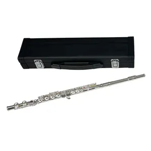 Бренд Aiersi, с закрытым отверстием, Серебряная флейта с бесплатными аксессуарами, музыкальные инструменты