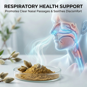 مستخلص برعم زهرة الماغنوليا الطبيعي عالي المحتوى من الماغنولين و1،8-سينول، مزيل احتقان الأنف صالح للأكل ومضاد للالتهابات للصحة العامة - Product Image 2