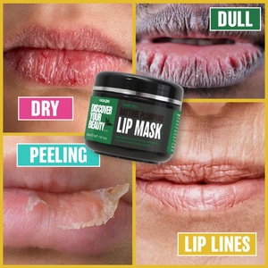 GUOCUI BIO TECH Reparación de barrera de tratamiento de labios suaviza la textura de los labios Reparación de cáscara agrietada seca Máscara de labios de árbol de té de día OEM - Product Image 5