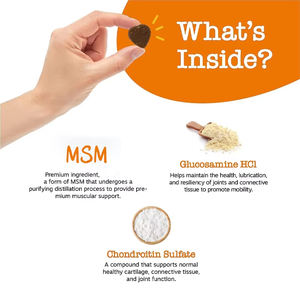 أسود فريداي بيع أوم مضغ متعدد الفيتامينات الكلب الورك ملحق مشترك العلامة التجارية الخاصة الحيوانات الأليفة الكلب الفيتامينات القط مكملات الرعاية الصحية - Product Image 3