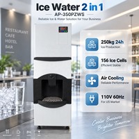 Machine à glaçons commerciale avec distributeur d'eau, 250 kg/24h, 156 grilles à glaçons, refroidissement par air, 110V 60Hz, pour restaurant, hôtel, café