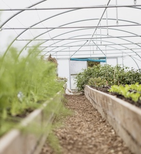 Serre à tunnel élevé avec système de refroidissement et ventilateurs 200 microns Film de polyéthylène UV serre de couverture française - Product Image 6