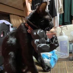 Nuevo gato <span class=keywords><strong>Hulk</strong></span> brazo 3D impreso plástico decoración del hogar diversión creativa decoraciones de armamento transfronterizo - Product Image 5