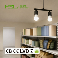 Ampoules LED 9W 800Lm A19 E26 A58X103Mm 3000K 4000K 5000K 6500K 10000H Dimmables Vente en Gros OEM pour Hall d'Hôtel