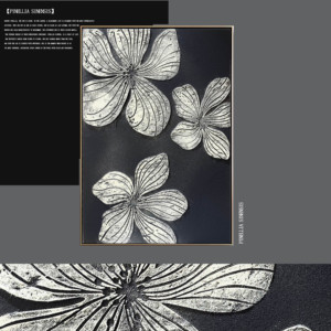 2025 Bán Buôn Tùy Chỉnh Tường Trừu Tượng Nghệ Thuật Wabi Sabi Khách Sạn Tường Nghệ Thuật 100% Handmade 3D Kết Cấu Thạch Cao Sơn - Product Image 5