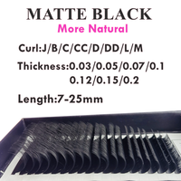 Extensions de cils en volume russe individuelles classiques en velours 0.03, noir mat foncé, en plateaux, avec logo personnalisé, vente en gros