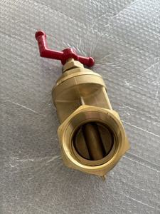 2025 Vente chaude de bonne qualité 2 1/2 ''F * M Gate Valve - Product Image 2