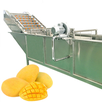 Machine de production et de fabrication de compote de mangues fraîches