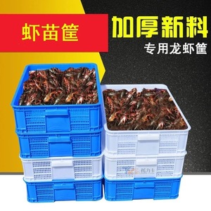 Crayfish Plastic Crates 55L Perforated <b>Stackable</b> For Freshwater Transport Storage - Product Image 2