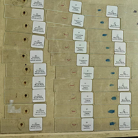 Ensemble de 25 Lames Microscopiques Préparées pour le Collège et le Lycée, Spécimens de Plantes, Animaux et Micro-organismes, ISO