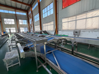 Ligne de machines automatisées pour le lavage, le cirage, le tri, la calibrage et l'emballage des oranges