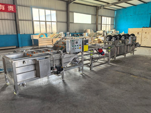 Machine à laver les épinards et les patates douces à grande vitesse avec système de pulvérisation motorisé pour ligne de jus, faible coût d'entretien, certifiée CE - Product Image 6