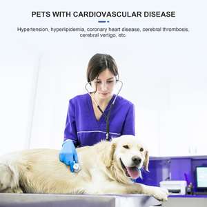 Olive – concentrateur d'oxygène de haute pureté 7l 3l 5l vétérinaire 10 litres, générateur d'oxygène pour chambre à oxygène hyperbaroque pour animaux de compagnie - Product Image 5