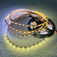 Bande LED RGBW SK6812 DC12V, 60 LED/m, adressable, ruban lumineux flexible 12mm PCB, blanc chaud, IP20, décoration intérieure