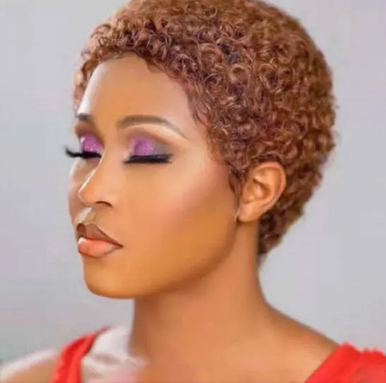 Hot Sale 100% brasilia nisches Haar Kurze maschinell hergestellte Perücke Pixie Cut Curly Perücke Natürliche Farbe Remy Echthaar Perücken für schwarze Frauen