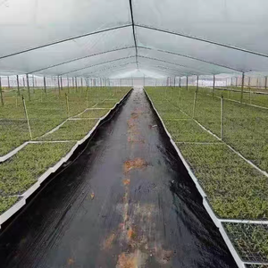 Tissu géotextile en tissu tissé PP pour arrêter la croissance de l'herbe <span class=keywords><strong>barrière</strong></span> contre les mauvaises herbes et tissu de contrôle des mauvaises herbes couverture de sol de jardin tapis anti-UV contre les mauvaises herbes - Product Image 6