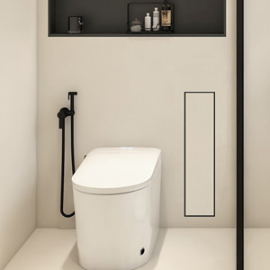 304 SUS multifonctionnel caché porte-brosse de toilette salle de bain dissimulé encastré niche porte-papier hygiénique - Product Image 6
