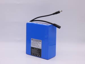 22.2v 24v 25.2v 25.9v Flexible Lithium Cell <strong>Li</strong>-<strong>ion</strong> <strong>Battery</strong> <strong>Pack</strong> 20ah 25ah 27ah 28ah 30Ah Rechargeable Power <strong>Li</strong>-<strong>ion</strong> <strong>Li</strong> <strong>Batteries</strong> - Product Image 4