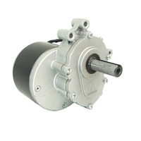 Motor DC Gear Brush Robotik 24V 250W Bersertifikasi ROHS untuk Penggunaan Sepeda Listrik, Perahu & Kipas - Gearbox Skuter untuk Aksesoris Kursi Roda