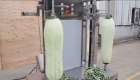 Direct Selling Wax Kalebas Peeling Machine Fruit En Groente Schilmachine Butternut Squash Dunschiller Machine