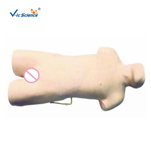 Simulador de entrenamiento de PVC De ciencia médica avanzada modelo de entrenamiento de enfermera para maniquí de punción de médula ósea - Product Image 5