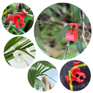 Clips LST réutilisables en ABS à 90 degrés pour l'entraînement à faible stress, fournitures <span class=keywords><strong>de</strong></span> jardin améliorées, outil <span class=keywords><strong>de</strong></span> pliage <span class=keywords><strong>de</strong></span> plantes suspendues, pour augmenter la circulation <span class=keywords><strong>de</strong></span> l'air et <span class=keywords><strong>de</strong></span> la lumière - Product Image 4