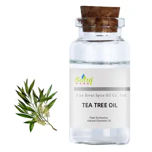 Huile essentielle d'arbre à thé biologique de qualité supérieure, non parfumée, vente en gros, prix de gros 100% pure naturelle