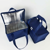 Sac isotherme réutilisable pour poisson, sac de transport alimentaire non tissé avec doublure en feuille d'aluminium pour le camping en plein air