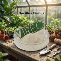 Bacillus Firmus Probiotique pour l'alimentation du bétail et de la volaille, additif alimentaire, Bacillus Firmus de qualité alimentaire pour préparation microbienne animale