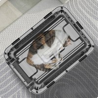 Bangke Pet Valise Petit Animal Boîte À Air Voiture Transport Caisse Portable En Plein Air Pet Voyage Cage IATA Boeing chat transporteur