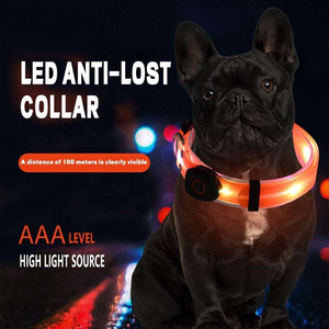 Noche brillante lujo USB recargable LED autoiluminante mascota gato perro Collar suave acolchado Nylon moderno clásico personalizado - Product Image 6
