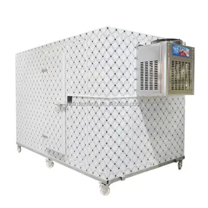 All In 1 Fruit And Vegetable Freezer Cold Room Walk In Freezer Storage Room
