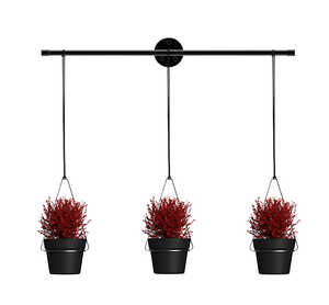 Indoor <strong>Herb</strong> Garden Hanging <strong>Planter</strong> 3-Piece <strong>Wall</strong>/Window Plant Hanger Flower Pots &amp; <strong>Planters</strong> for Indoor Use - Product Image 2